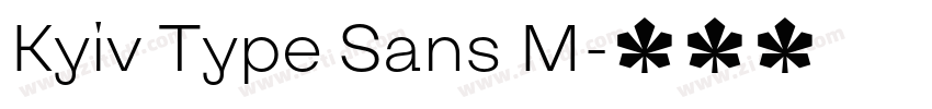 Kyiv Type Sans M字体转换